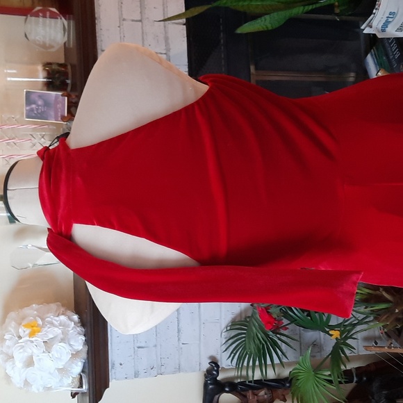 Black Halo Velvet Dress - Picture 5 of 6